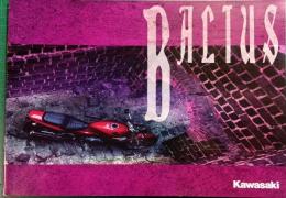 Kawasaki Balius カタログ