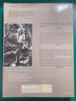 Sacred Land, Sacred Sex : Rapture of the Deep