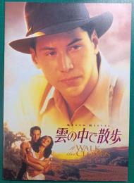 雲の中で散歩 : 映画パンフレット