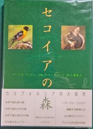セコイアの森　カリフォルニアの大自然