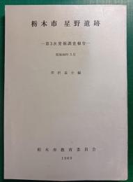 栃木市星野遺跡　第3次発掘調査報告