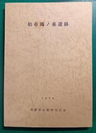 柏市鴻ノ巣遺跡