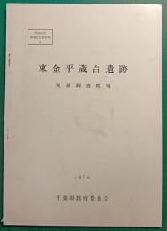 東金平蔵台遺跡発掘調査概報