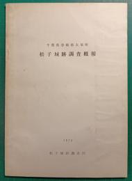 千葉県香取郡大栄町松子城跡調査概報