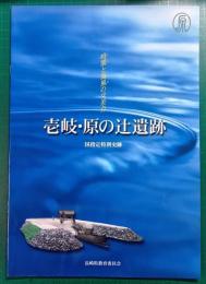 壱岐・原の辻遺跡 : 時間と海風の交差点 : 国指定特別史跡
