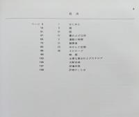 ジョセフ・アルバースの視覚世界　 Despite Straight Lines　直線のみで