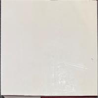 Lee Krasner, Jackson Pollock: Kunstlerpaare, Kunstlerfreunde　リー・クラスナー　ジャクソン・ポロック
