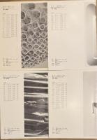 泉茂 のシリーズ 8冊セット