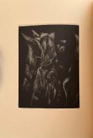 黒馬に新しい日を　※署名 版画入