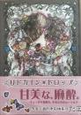 リドカイン★ドロップ〜少女主義的水彩画集II　※ドローイング入