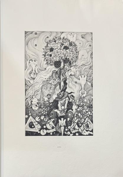 清原啓子作品集   /美術出版社/清原啓子（大型本） Amazon.co.jp: 銅版画家清原啓子作品集 : 清原 啓子: 本