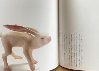 イヴ叢書 X　「月の光」