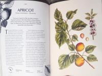 (英文)図説 植物から香水まで　100種類の香りの起源【Fragrance: From Plant to Perfume: The Botanical Origins of Scent】