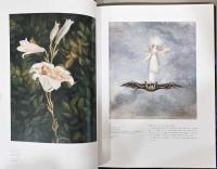 19世紀英国ヴィクトリア朝の絵画　フェアリー・テイル　妖精たちの物語