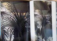 NHK日曜美術館「黒潮の画譜」　田中一村作品集