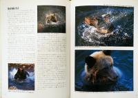 窪田正克写真集　ヒグマ　Ezo Brown Bear