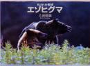 久保敬親写真集　エゾヒグマ　残された聖域