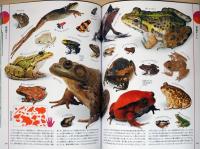 ヴィジュアル版 地球の生物大図鑑