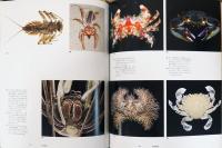 知られざる地球動物大図鑑　驚くべき生物の多様性 Animal Earth The Amazing Diversity of Living Creatures