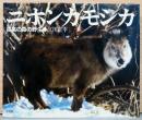 江川正幸写真集　ニホンカモシカ　孤高の森の野生