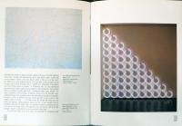 (英文)ミニマリズム　偶発性の美術【Minimalism : Art of Circumstance】