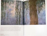 (仏文)モネの「睡蓮」にみる光の反射【L'echo des Nympheas】