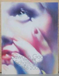 合田佐和子 影像  絵画・オブジェ・写真　Sawako Goda Schattenbild 1958 -2003