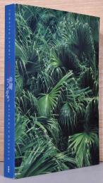 東松照明展　沖縄マンダラ