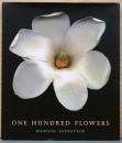 (英文)ハロルド・ファインスタイン写真集　100の花【HaroldFeinstein : One Hundred Flowers】
