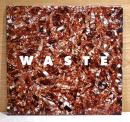 （英文）伊奈英次写真集　WASTE