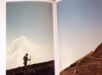 光　松本陽子/野口里佳