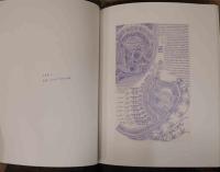 坂上チユキ　鳥の写本　Chiyuki Sakagami : Scripture of the Birds