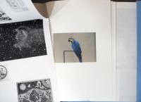 (英文)ハリス・エパミノンダ作品集チャプターズ1-30【Haris Epaminonda - Chapters I-XXX】