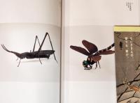 虫めづる日本の人々