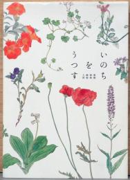 いのちをうつす　菌類　植物　動物　人間