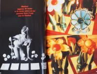 (英文)人工的自然【Artificial Nature】