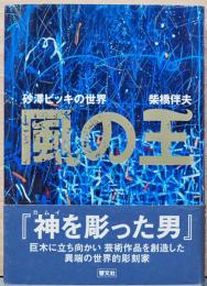 風の王　砂澤ビッキの世界