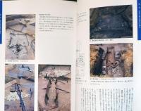 古墳時代導水施設の儀礼