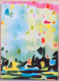 丸山直文全作品集　Naofumi Maruyama　1988-2008
