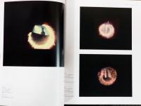 マンハッタンの太陽　