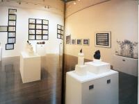 野村仁　生命の起源：宇宙・太陽・DNA