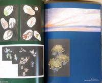 朝倉摂　アヴァンギャルド少女 Setsu Asakura : An Avant - garde Girl