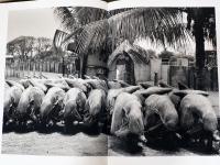 (英文)セバスチャン・サルガド写真集　ワーカーズ【Sebastiao Salgado : Workers, An Archaeology of the Industrial Age】