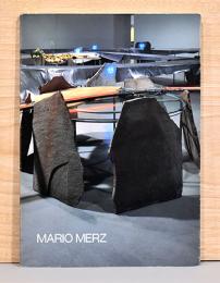 マリオ・メルツ展