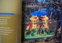 (英文)アーサー・トレス写真集 フィッシュ・タンク・ソナタ【Arthur Tress : Fish Tank Sonata】