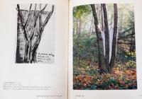 ジュゼッペ・ペノーネ　石の血管