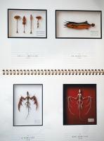 夏休み！　いきもの図鑑