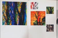 石元泰博写真集　多重露光