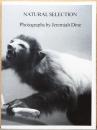 (英文）ジェレミア・ダイン写真集　ナチュラル・セレクション【Jeremiah　Dine: Natural Selection】
