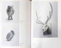 Kohei Nawa Works 2000-2010　名和晃平作品集